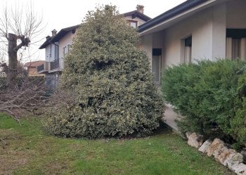 esterno - Villa via Novella, Bagnolo Cremasco - foto 142