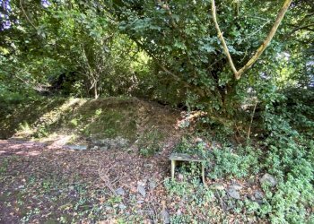 Giardino - Terratetto - Terracielo via Dei Lunghi, 21, Cogorno - foto 14