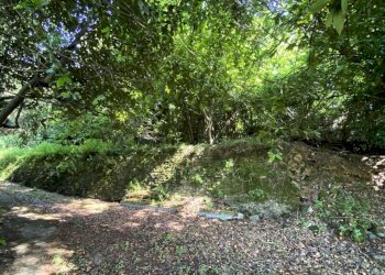 Giardino - Terratetto - Terracielo via Dei Lunghi, 21, Cogorno - foto 15