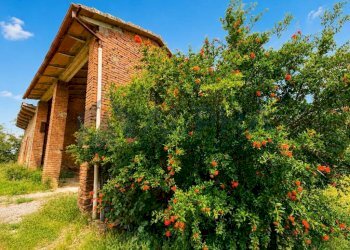 Terreno - Three-room apartment via Torre del Marino, Brisighella - photo 17