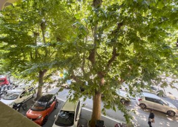 Zona - Appartamento viale Miramare, 9, Trieste - foto 9