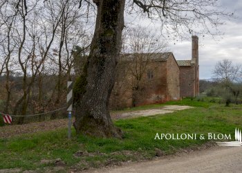 Casale Vocabolo fosso Vaiano, 20, Città della Pieve - foto 12