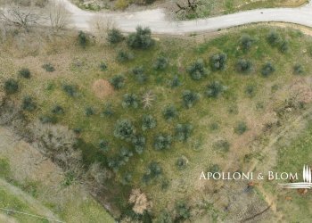 Casale Vocabolo fosso Vaiano, 20, Città della Pieve - foto 28