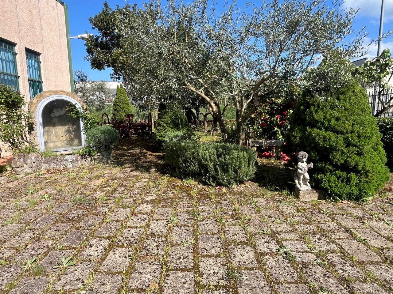 Capannone Sorano - foto 3