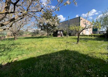 Capannone Sorano - foto 1