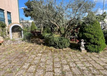 Capannone Sorano - foto 3
