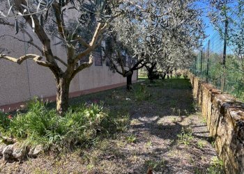 Capannone Sorano - foto 6