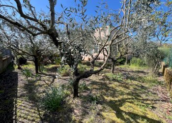 Capannone Sorano - foto 9