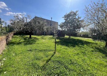Capannone Sorano - foto 13