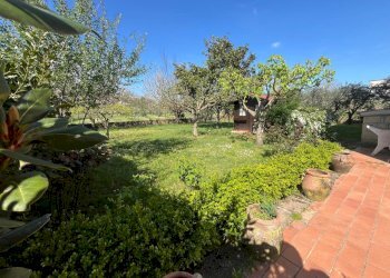 Capannone Sorano - foto 16