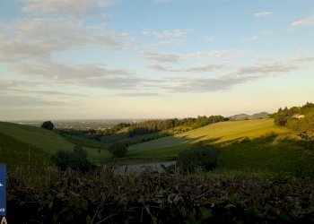 Terreno agricolo Forlì - foto 1
