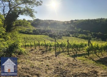 Terreno agricolo Forlì - foto 18
