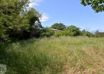 Rustic Dozza - photo 23
