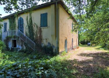 Rustic Dozza - photo 26