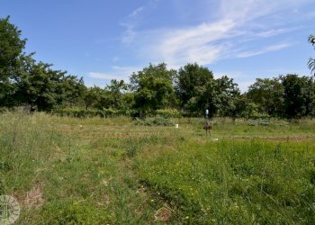Rustic Dozza - photo 33
