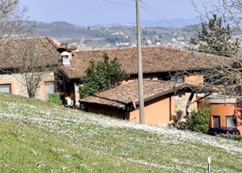 Rustic Monastero Bormida - photo 5