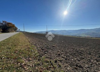 Terreno edificabile Via Valzangona, Petriano - foto 4