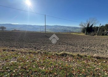 Terreno edificabile Via Valzangona, Petriano - foto 8