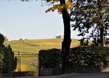 Villa Barolo - photo 6