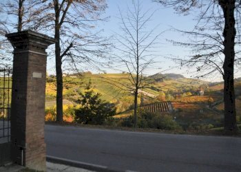 Villa Barolo - photo 17