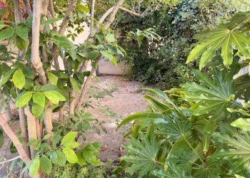 Foto 12 - Appartamento via puccini
 
301, Viareggio - foto 12