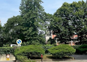 Foto 34 - Trilocale Via Fratelli Di Dio
182, Sesto San Giovanni - foto 34