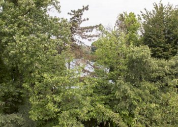 Villa Peschiera Borromeo - foto 22