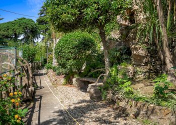 Foto 36 - Attic via dei Pini
 
4, Pieve Ligure - photo 36