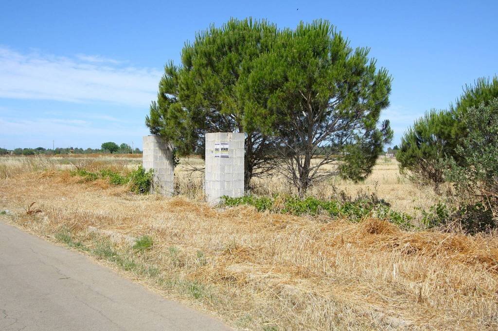Terreno - Terreno edificabile strada Vicinale Tammali, Parabita - foto 2