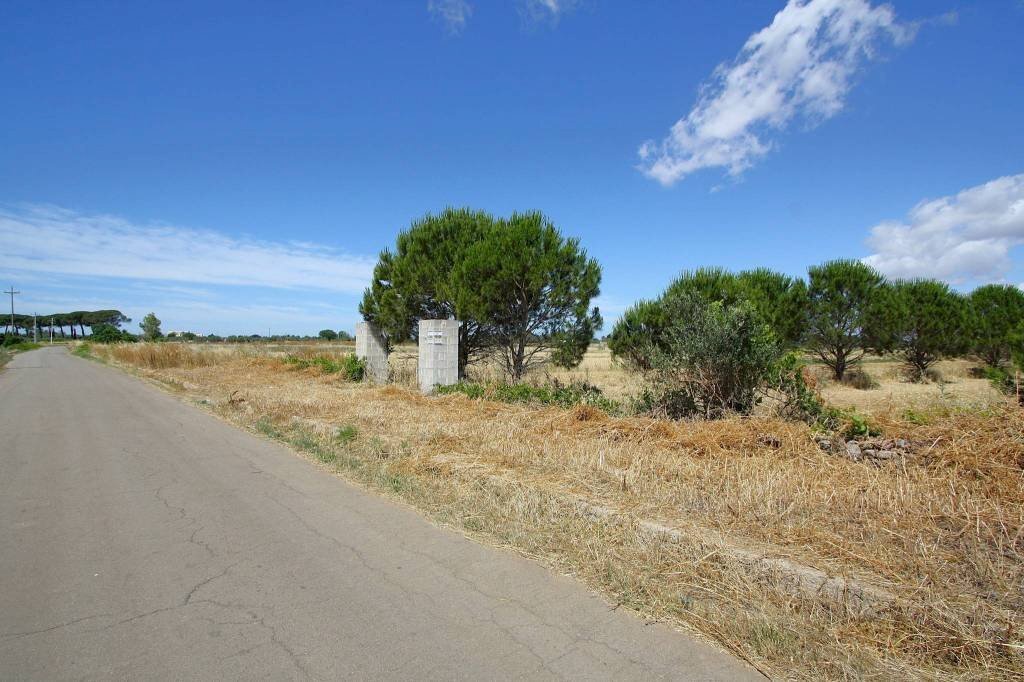 Terreno - Terreno edificabile strada Vicinale Tammali, Parabita - foto 3