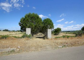 Terreno - Terreno edificabile strada Vicinale Tammali, Parabita - foto 1