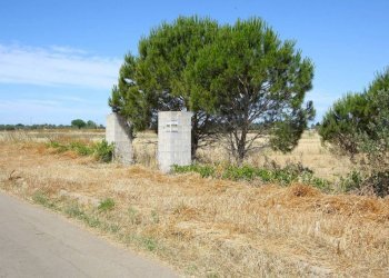 Terreno - Terreno edificabile strada Vicinale Tammali, Parabita - foto 2