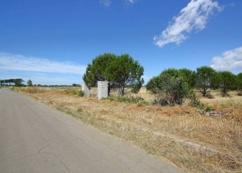 Terreno - Terreno edificabile strada Vicinale Tammali, Parabita - foto 3