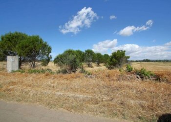 Terreno - Terreno edificabile strada Vicinale Tammali, Parabita - foto 4