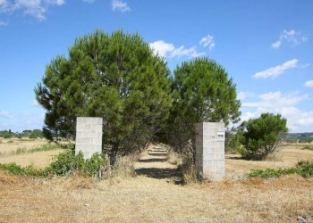 Terreno - Terreno edificabile strada Vicinale Tammali, Parabita - foto 5