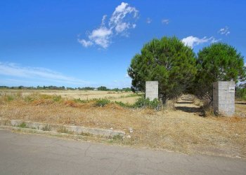 Terreno - Terreno edificabile strada Vicinale Tammali, Parabita - foto 6