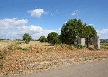 Terreno - Terreno edificabile strada Vicinale Tammali, Parabita - foto 7
