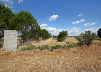 Terreno - Terreno edificabile strada Vicinale Tammali, Parabita - foto 10