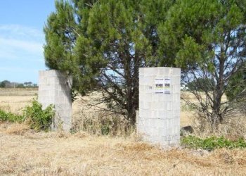 Terreno - Terreno edificabile strada Vicinale Tammali, Parabita - foto 14