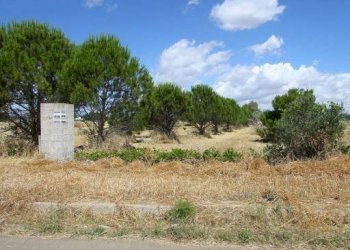 Terreno - Terreno edificabile strada Vicinale Tammali, Parabita - foto 16