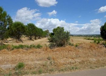 Terreno - Terreno edificabile strada Vicinale Tammali, Parabita - foto 17