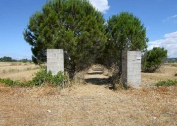 Terreno - Terreno edificabile strada Vicinale Tammali, Parabita - foto 18