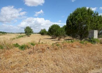 Terreno - Terreno edificabile strada Vicinale Tammali, Parabita - foto 19