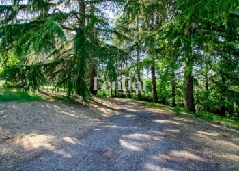 Terreno - Villa Regione Orti, 12, Vignale Monferrato - photo 5