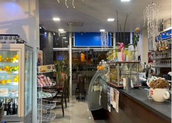 Interno non residenziale - Bar Tavola Calda - Fredda largo delle Coffe, 2, Savona (zona Centro storico) - foto 15