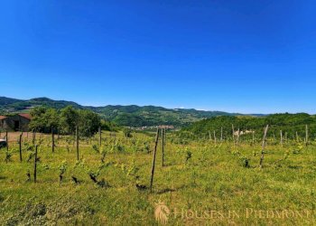 Terreno - Rustico Vesime - foto 7