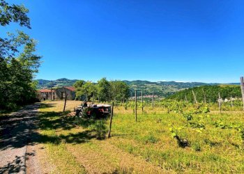 Terreno - Rustic Vesime - photo 8