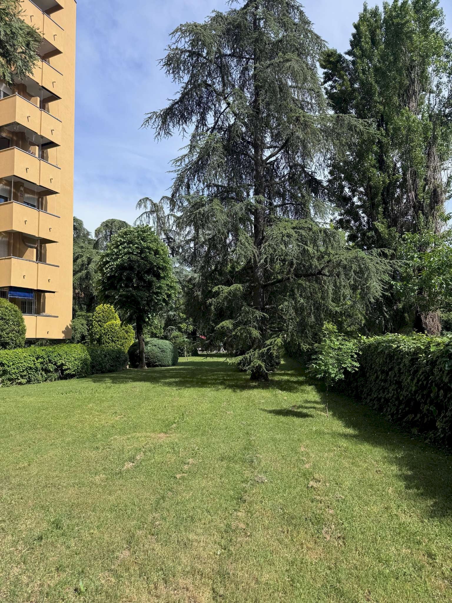 giardino condominiale - Four-room apartment via Spartaco, Bologna (neighborhood Massarenti) - photo 1