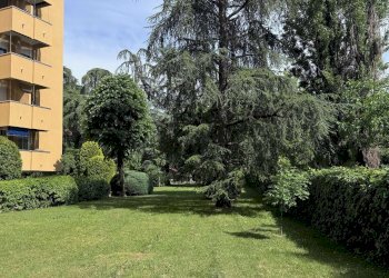 giardino condominiale - Four-room apartment via Spartaco, Bologna (neighborhood Massarenti) - photo 1