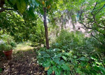 Villa Viale Casanova, Genova (neighborhood Cornigliano) - photo 6